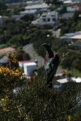 2011-10-09 13-15-13