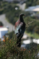 2011-10-09 13-15-22