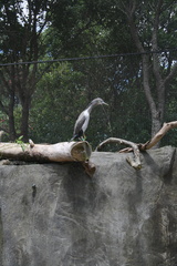 2011-12-24 12-25-27