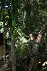 2011-12-24 13-13-22