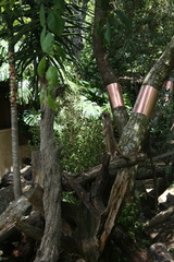 2011-12-24 13-13-24