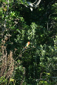 2012-05-06 16-23-52