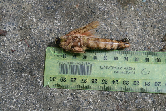2012-10-23 11-49-41