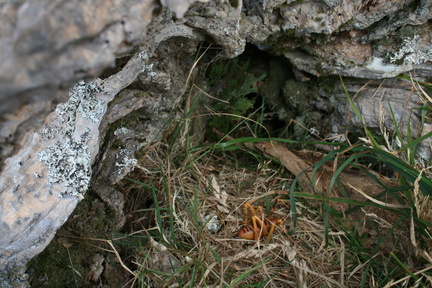 2013-03-10 16-27-08