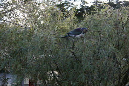 2013-08-23 17-07-54