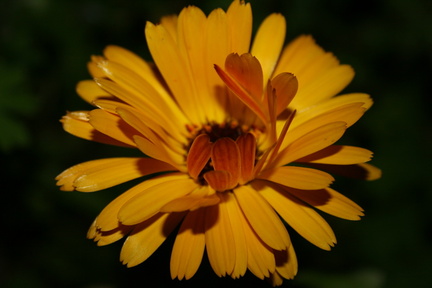2013-09-26 19-35-11