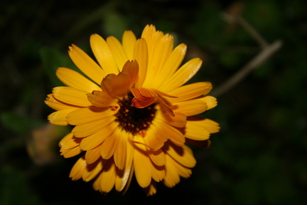 2013-09-26 19-36-04
