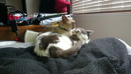 2015-01-18 09-34-02