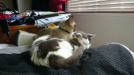 2015-01-18 09-34-11