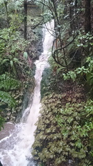 2016-10-26 09-47-25