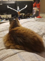 2017-05-19 07-07-35