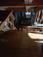 2017-05-19 21-39-27