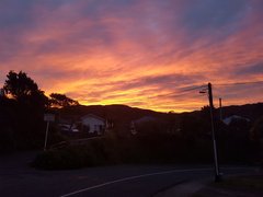 2017-06-15 17-11-48
