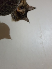 2017-06-28 20-39-15