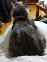 2017-07-12 22-27-54