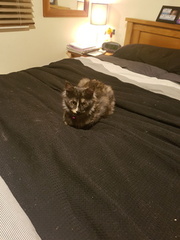 2017-07-20 00-26-02