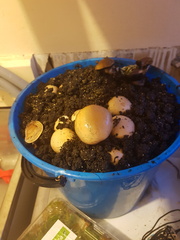 2018-04-30 07-54-50
