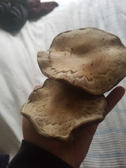2018-05-05 16-57-47