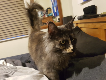 2018-05-28 07-28-28