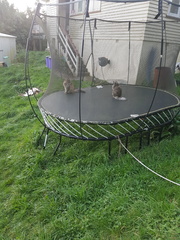 2018-06-28 16-39-06