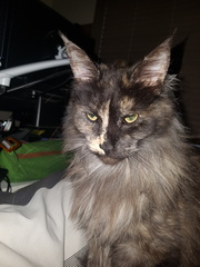 2018-07-01 08-55-12