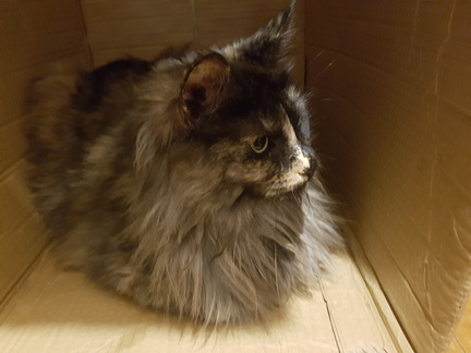 2018-08-09 20-51-24