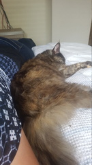 2019-01-09 18-21-35