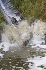 2019-02-26 12-55-183