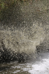 2019-02-26 13-01-253