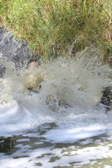 2019-02-26 13-03-273