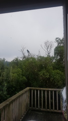 2019-03-18 09-18-12