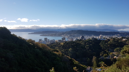 2019-03-21 09-00-50