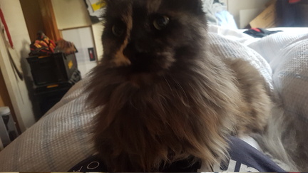 2019-06-02 08-42-47