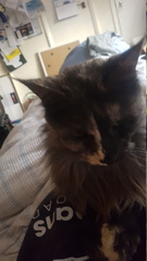 2019-06-02 08-43-06