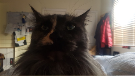 2019-06-02 08-43-43