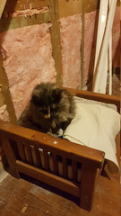 2019-06-05 21-35-35