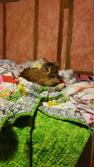 2019-06-05 21-35-52