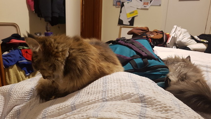 2019-07-05 20-22-54
