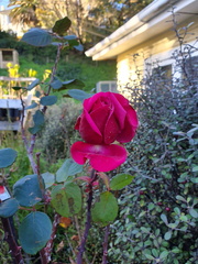 2019-07-13 09-35-11