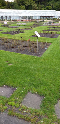 2019-08-10 15-04-03