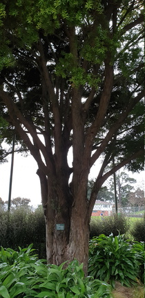 2019-08-10 15-06-49
