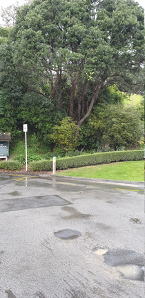 2019-08-10 15-07-26