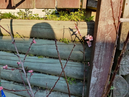 2019-08-30 16-54-16
