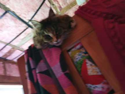 2019-09-17 07-16-32