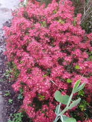 2019-10-01 08-10-59