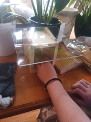 2019-10-03 18-37-47