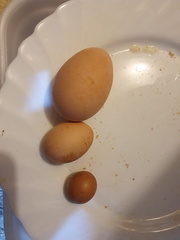 2019-10-30 21-24-25