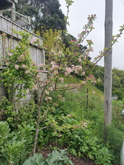 2019-11-03 09-41-01