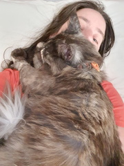 2019-12-27 08-54-32