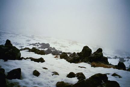 ROLL 09 018
